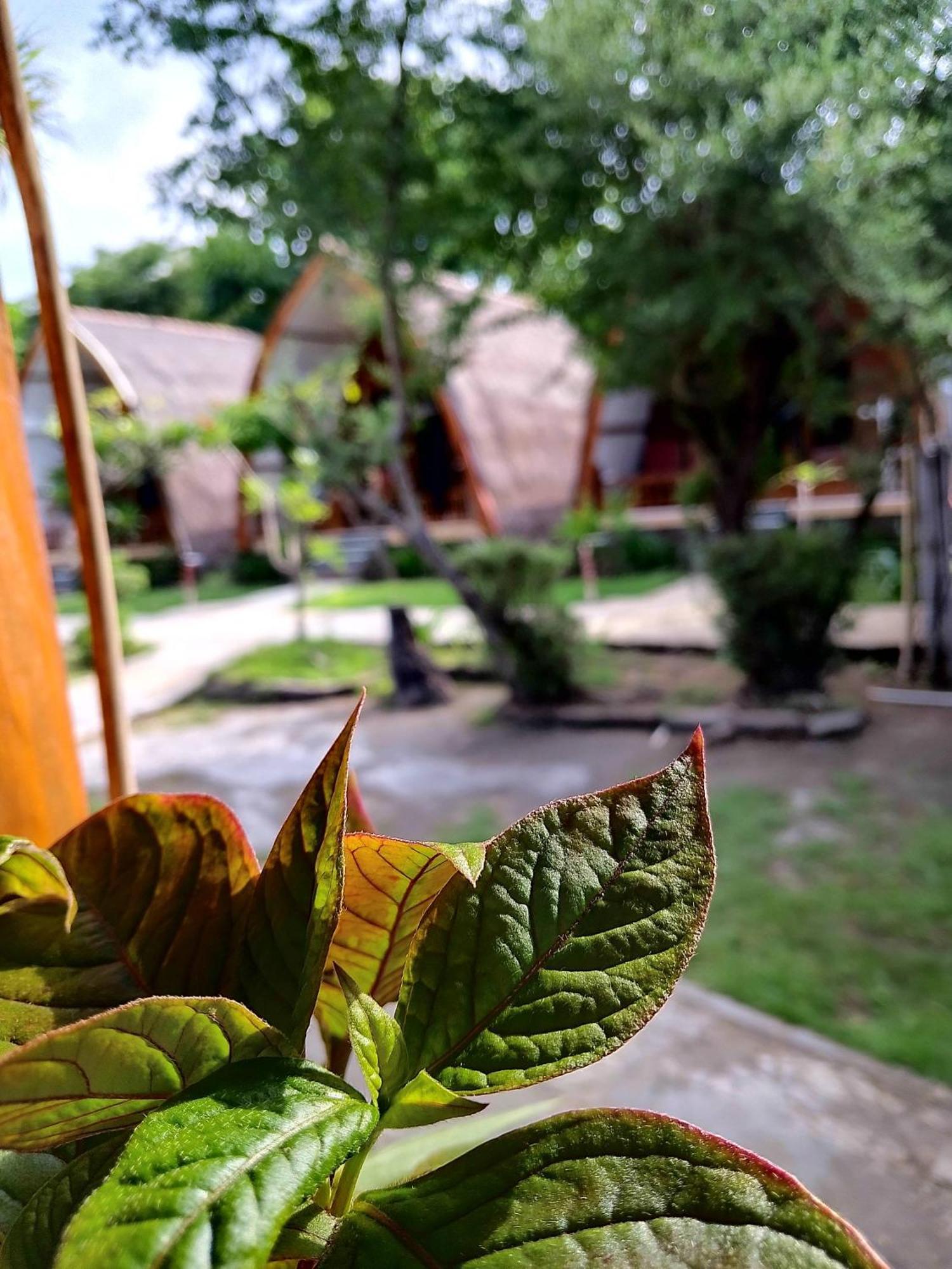We'Be Cottages Gili Meno Exterior photo